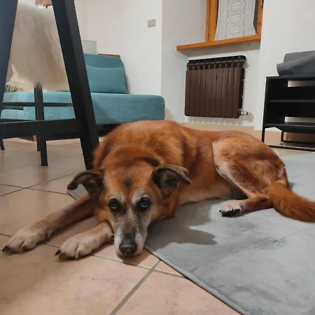 Maison Citron - Explore Courmayeur Mont Blanc